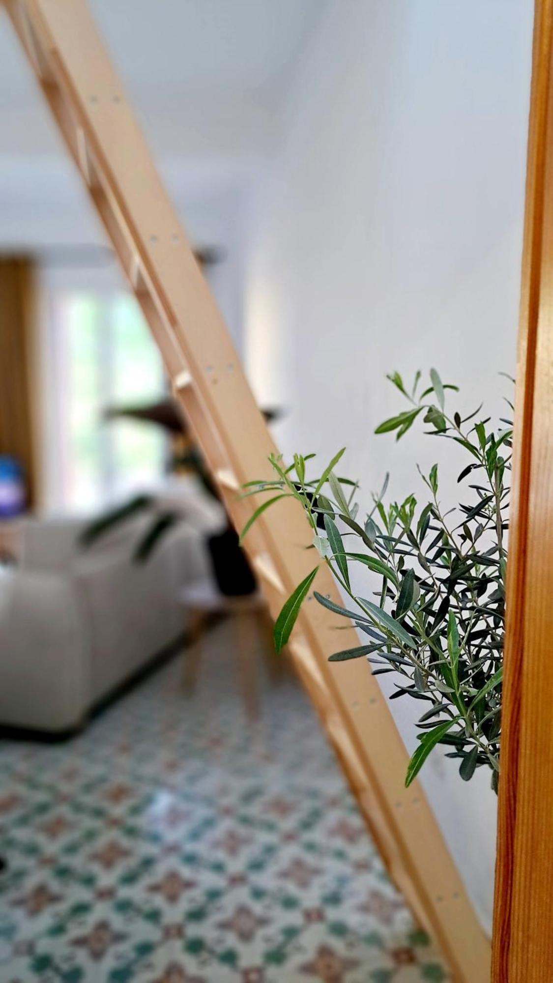 Hotel Casa Tramuntana Tautavel Exteriér fotografie