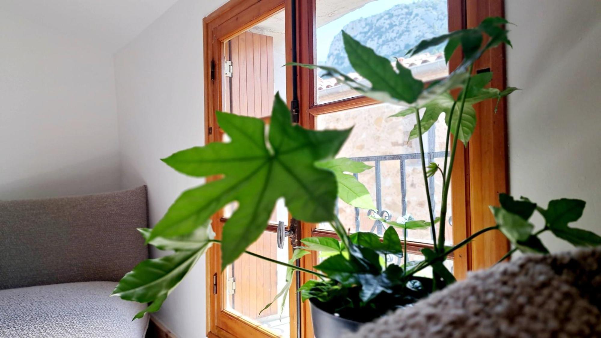 Hotel Casa Tramuntana Tautavel Exteriér fotografie